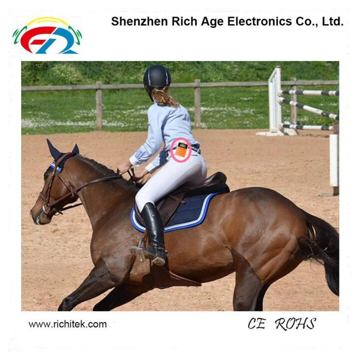 Horse Riding Teaching With Wireless Sound Transmission System ワイヤレスサウンド伝送システムの乗馬教え(图1)